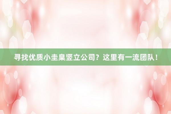 寻找优质小圭臬竖立公司？这里有一流团队！