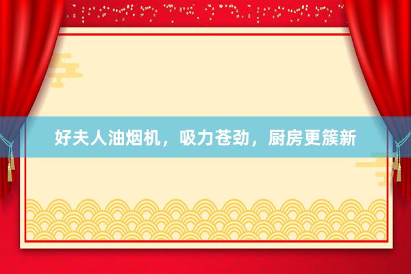好夫人油烟机，吸力苍劲，厨房更簇新